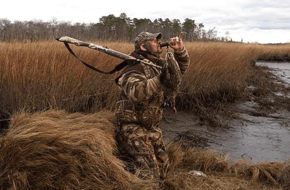 duck hunter in boat blind calling in ducks